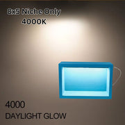 Illuminiche 8x5 LED Shower Niche 4000K Daylight