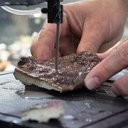 DB-100 band saw fragging live coral under coolant flow