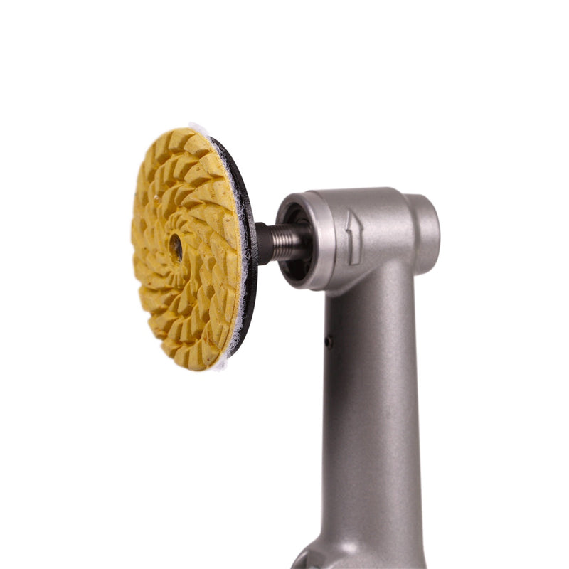 Distar polishing support tool 